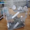236141-2 KIAO Hamster Cage 511DB - กรงแฮมเตอร์ 4ชั้นพร้อมอุปกรณ์ (55x30x70cm) (236141)