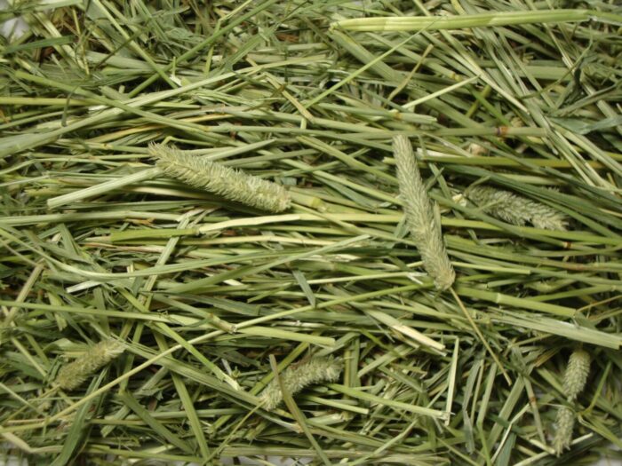 Anderson Timothy Hay (premium) - หญ้าทิโมธี 20kg (449924)