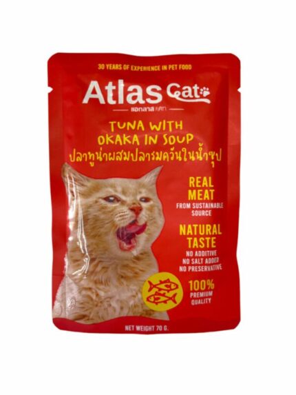 Atlas Cats