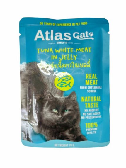 Atlas Cat