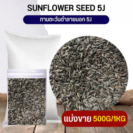 เมล็ดทานตะวันดำ 5J ตรามือ 500g Black Sunflower 5J