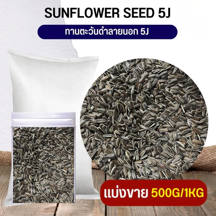 พบคำแนะนำในการเลือกกรงนกที่สมบูรณ์แบบ 9 Black Sunflower 5J