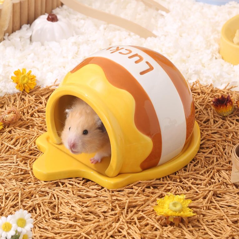 Ceramic House For Hamsters Honey Pot Shape