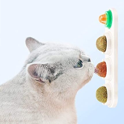 Catnip Ball 3 Herb - แคทนิปบอล กัญชาแมวสมุนไพร 3 ชนิด  (251109)