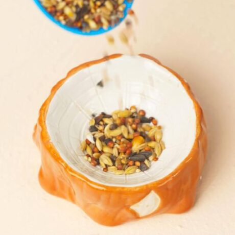 Ceramic Hamster Bowl Tree Stump Shape