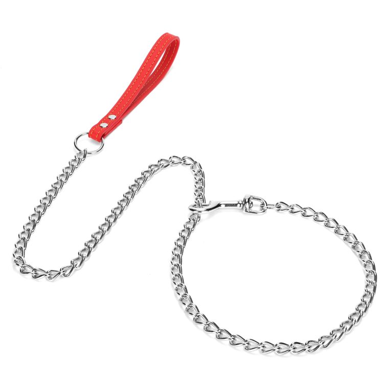 Dog Chain Leash