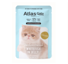 Atlas Cat Kitten Whitefish in Jelly 70g