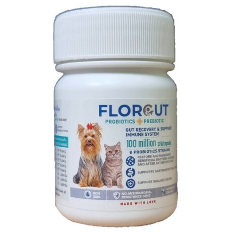 พบคำแนะนำในการเลือกกรงนกที่สมบูรณ์แบบ 7 Florgut Probiotic & Prebiotic for Small Dog & Cat - อาหารเสริมโพรไบโอติกส์และพรีไบโอติก สำหรับสุนัขหรือแมวพันธุ์เล็ก (30แคปซูล/กระปุก)(410555)
