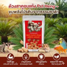 Pet Heng Dried Sago Palm Weevil Larvae - ด้วงสาคูอบแห้ง (318319)