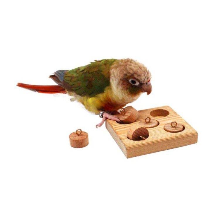 TBD Bird Toys - บล็อคฝึกทักษะนก (แบ่งขาย)(264616)