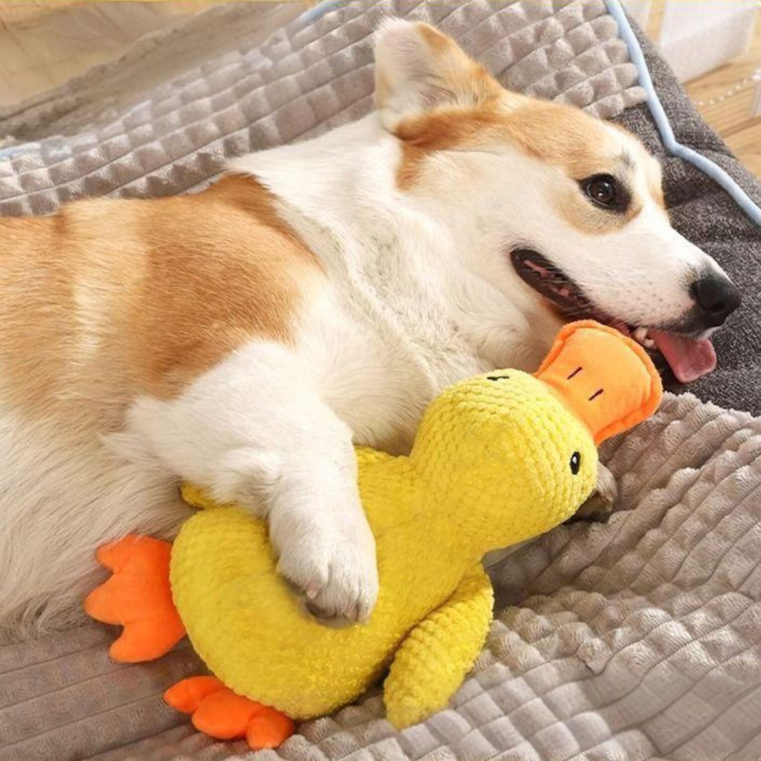 พบคำแนะนำในการเลือกกรงนกที่สมบูรณ์แบบ 9 Dog Toy Claiming Duck Doll - ของเล่นสำหรับสุนัข ตุ๊กตาเป็ดผ้าฝ้าย