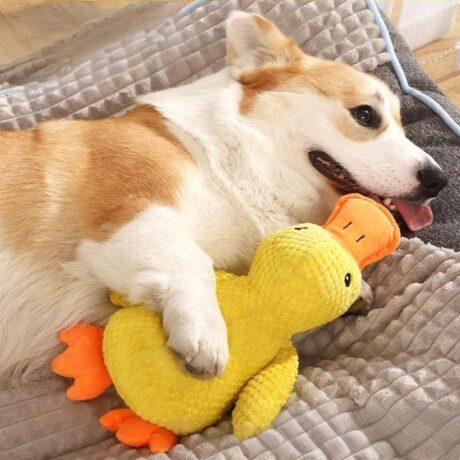 Dog Toy Claiming Duck Doll - ของเล่นสำหรับสุนัข ตุ๊กตาเป็ดผ้าฝ้าย