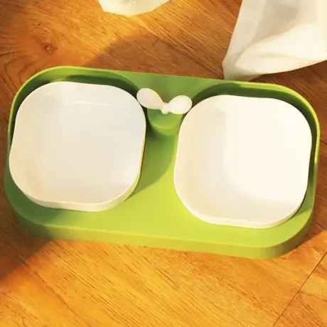 Double Pet Bowl