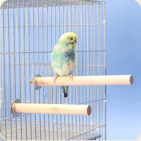 พบคำแนะนำในการเลือกกรงนกที่สมบูรณ์แบบ 8 Wooden Bird Perch M - คอนไม้สำหรับนก 14ซม. (54560)