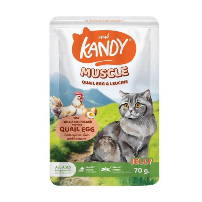 Kandy Muscle Kandy Muscle