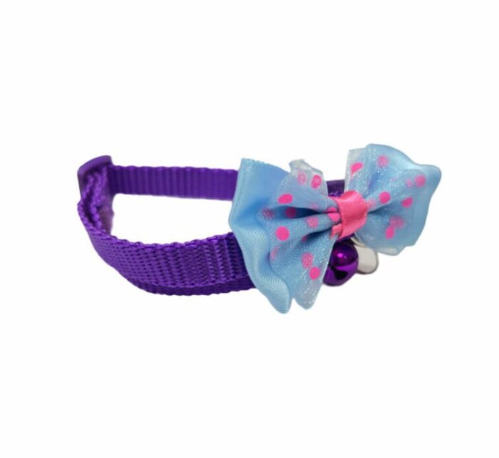 พบคำแนะนำในการเลือกกรงนกที่สมบูรณ์แบบ 9 Pet Collar