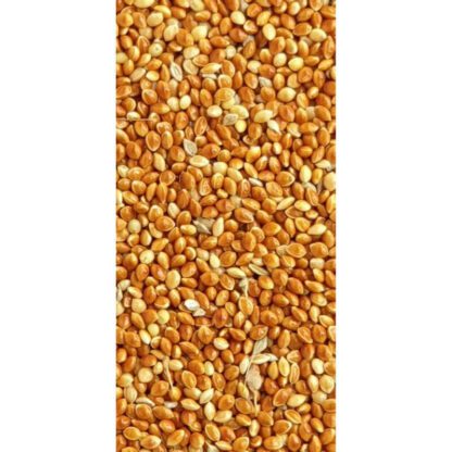 พบคำแนะนำในการเลือกกรงนกที่สมบูรณ์แบบ 8 TBD Red Millet - มิลเล็ตแดง 5kg (แบ่งขาย)(337345)