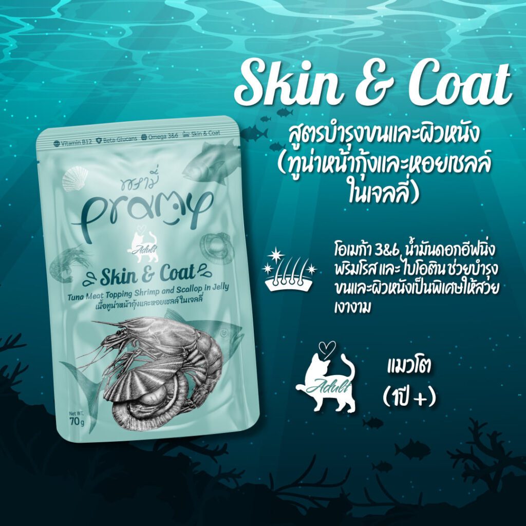 พบคำแนะนำในการเลือกกรงนกที่สมบูรณ์แบบ 6 Pramy Skin & Coal Tuna Meat Topping Shrimp And Scallop In Jelly - อาหารแมวเปียก รสเนื้อทูน่าหน้ากุ้งและหอยเชลล์ในเจลลี่ 70g (308165)