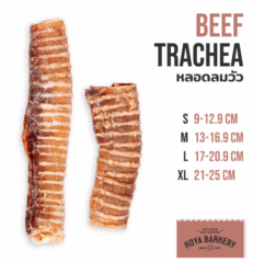 Hoya Barkery Beef Trachea S - หลอดลมวัว ขนาด 9-12.9cm
