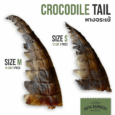 Crocodile Tail - หางจระเข้ ยาว 12cm