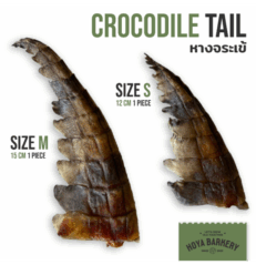 Crocodile Tail - หางจระเข้ ยาว 12cm