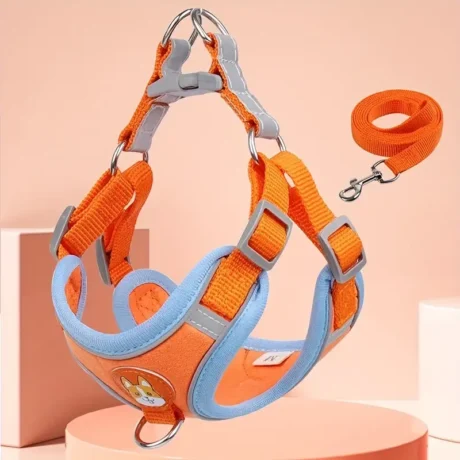 พบคำแนะนำในการเลือกกรงนกที่สมบูรณ์แบบ 10 pet harness & leash set m