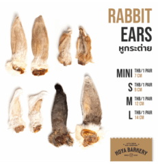 Hoya Barkery Rabbit Ear - หูกระต่าย