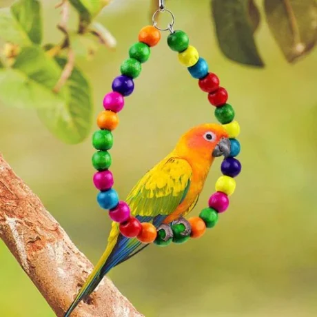 Bird Toy Swing Bird - ของเล่นนก ชิงช้าลูกปัดวงกลม (310068)