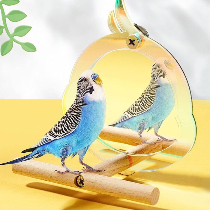 Bird Toy Perch & Mirror - ของเล่นนก กระจกส่องพร้อมคอนไม้ (309898)