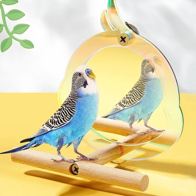 bird_mirror