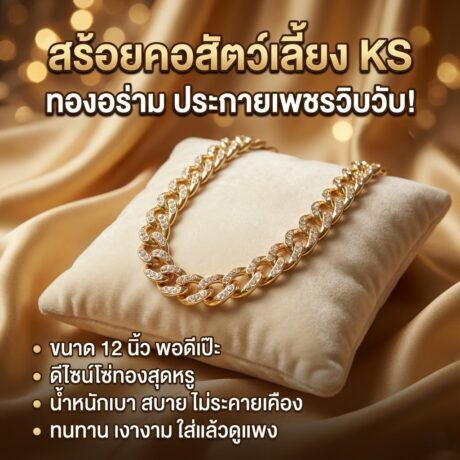 พบคำแนะนำในการเลือกกรงนกที่สมบูรณ์แบบ 8 สร้อยคอเพชร 12นิ้ว