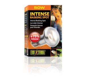 Exo Terra Intense Basking Spot UVA 50W - หลอดไฟความร้อนและแสงยูวีเอ สำหรับสัตว์เลื้อยคลาน ขนาด 50 วัตต์ (313621)