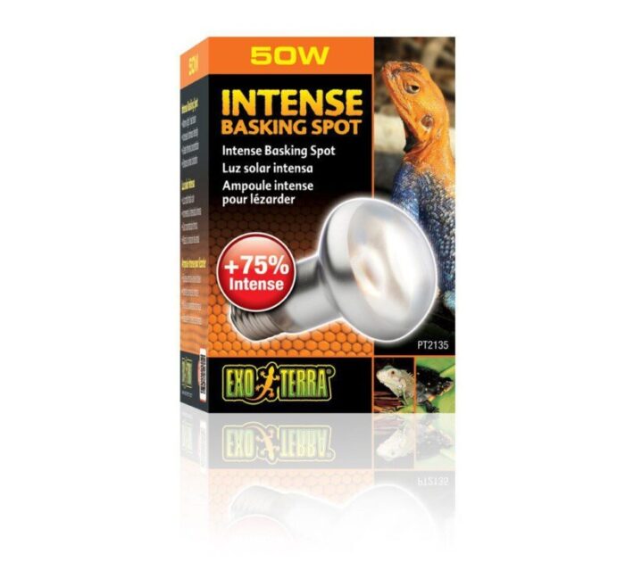 พบคำแนะนำในการเลือกกรงนกที่สมบูรณ์แบบ 10 Exo Terra Intense Basking Spot UVA 50W - หลอดไฟความร้อนและแสงยูวีเอ สำหรับสัตว์เลื้อยคลาน ขนาด 50 วัตต์ (313621)