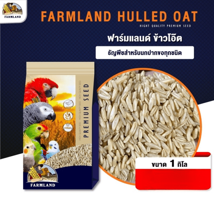 พบคำแนะนำในการเลือกกรงนกที่สมบูรณ์แบบ 8 Farmland Premium Hulled Oat - อาหารนก ข้าวไอ๊ต เกรดพรีเมี่ยม 1kg (313808)