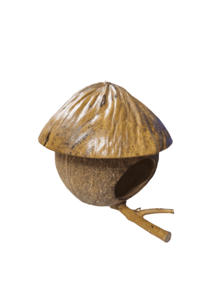 Coconut Shell House - บ้านกะลามะพร้าวพร้อมคอนไม้ (316056)