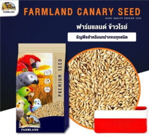 314735617_668974178209445_4787549335837778118_n Farmland Premium Seed Rye - อาหารนก ข้าวไรย์ เกรดพรีเมี่ยม 1kg (313792)