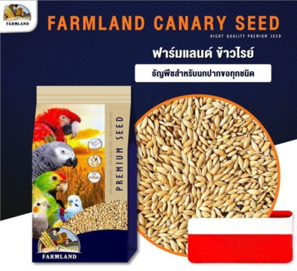 FARMLAND Premium Seed Rye - อาหารนก ข้าวไรย์ เกรดพรีเมี่ยม 1kg (313792)