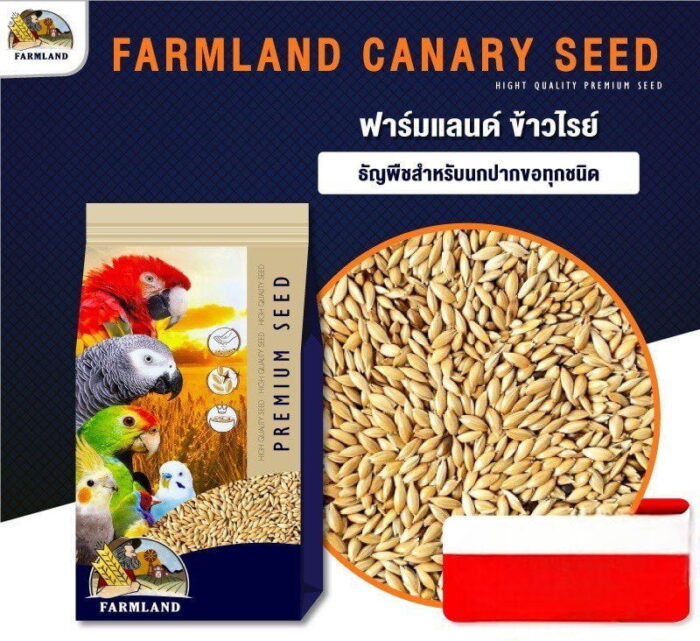 พบคำแนะนำในการเลือกกรงนกที่สมบูรณ์แบบ 9 Farmland Premium Seed Rye - อาหารนก ข้าวไรย์ เกรดพรีเมี่ยม 1kg (313792)