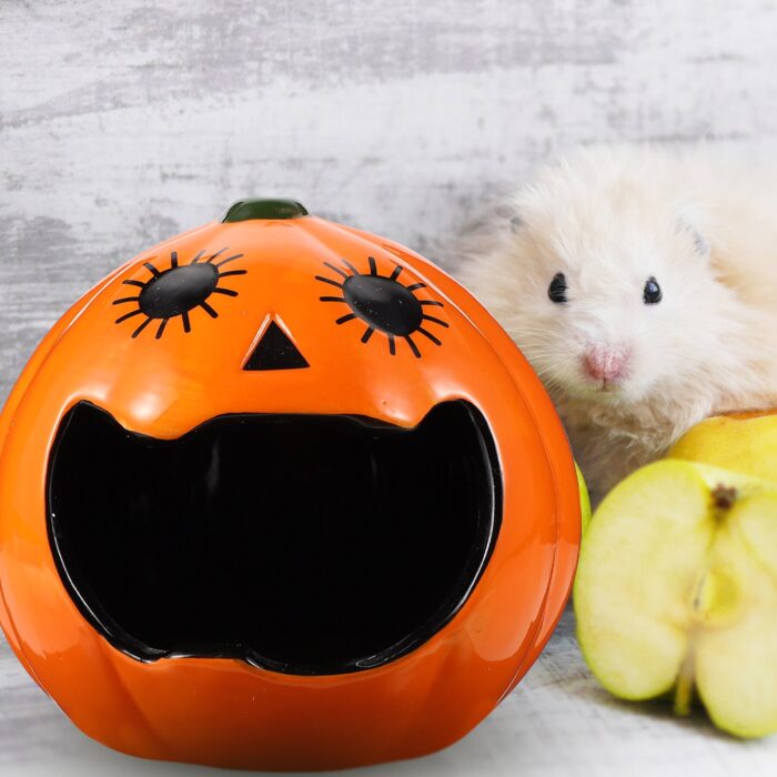 Ceramic Hamster House Halloween Pumpkin - บ้านเซรามิคแฮมสเตอร์รูปทรงฟักทองฮาโลวีน (314841)