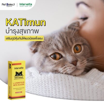 Intervetta KATimun L-Lysine Plus Beta-Glucan Cat Formula - อาหารเสริมภูมิคุ้มกันสำหรับแมว (30Tablets) (321855)