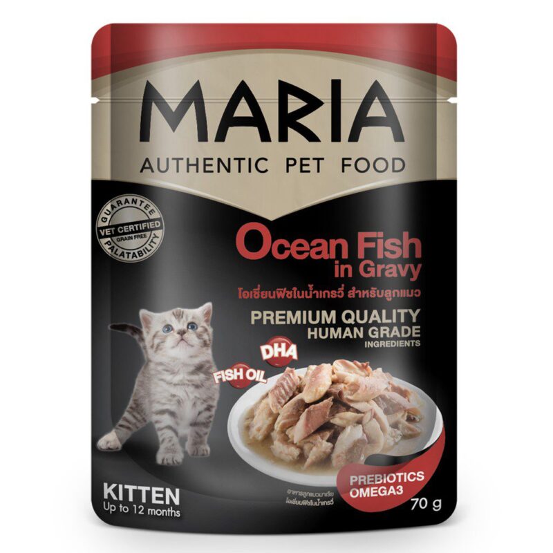 Maria Authentic Kitten Cat Food Ocean Fish In Gravy - อาหารลูกแมวเปียก  รสโอเชี่ยนฟิชในน้ำเกรวี่ 70G (320675) - Petz World Chiang Mai  ร้านขายสัตว์เลี้ยง