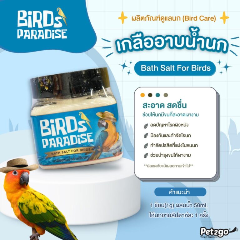 BIRD PARADISE 1