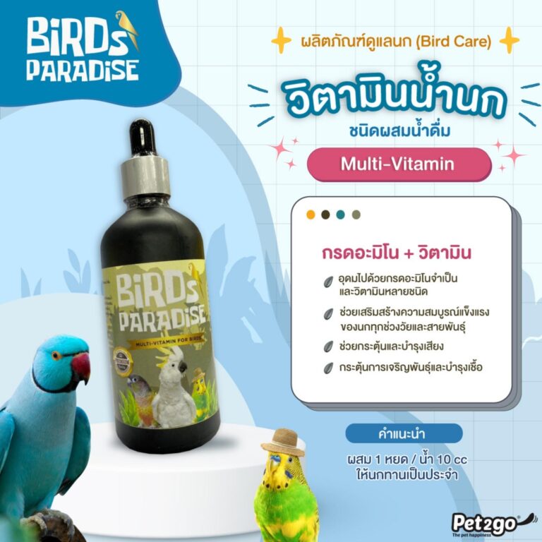 BIRD PARADISE 3