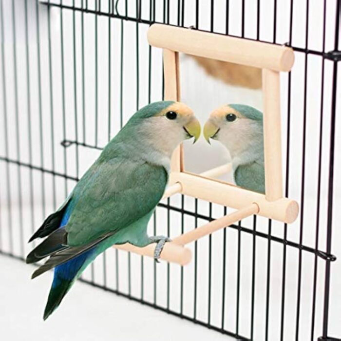Bird Mirror Wooden Hangin Bird Toy Wooden Mirror Hanging - ของเล่นสำหรับนก กระจกพร้อมคอนไม้ (322253)