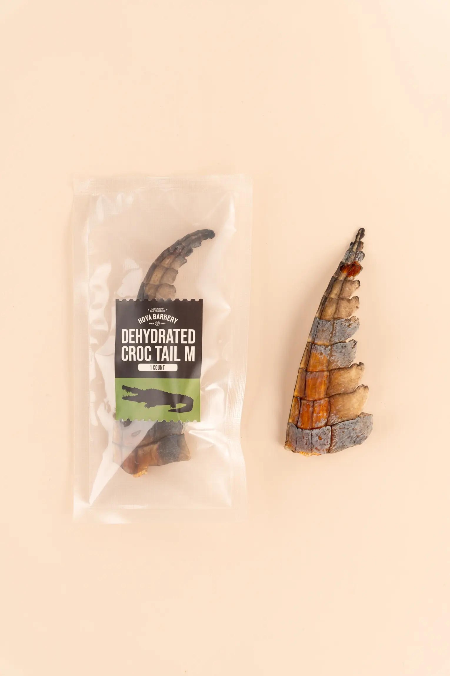 Hoya Barkery Crocodile Tail หางจระเข้