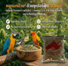 Hemp Seed - ธัญพืชเมล็ดมัน ฮวยมั๊ว ตรามือ 1kg (319474)