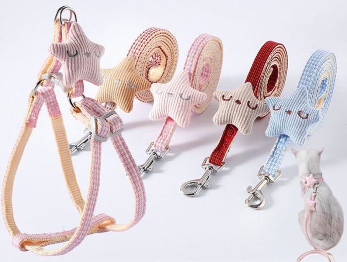 พบคำแนะนำในการเลือกกรงนกที่สมบูรณ์แบบ 8 TBD Leash for Pet - สายจูงรัดอกรูปดาว L (312886)