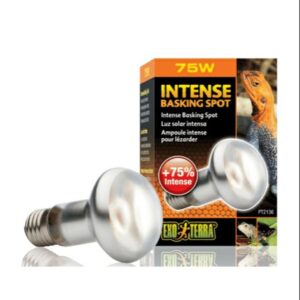 Exo Terra Intense Basking Spot UVA 75W - หลอดไฟความร้อนและแสงยูวีเอ สำหรับสัตว์เลื้อยคลาน ขนาด 75 วัตต์ (313626)