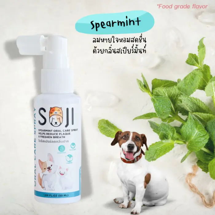 สเปรย์ลดกลิ่นปาก 15671 Soji Oral Care Spray Spearmint Scent - สเปรย์ลดกลิ่นปากสัตว์เลี้ยง กลิ่นมิ้นท์ 50ml