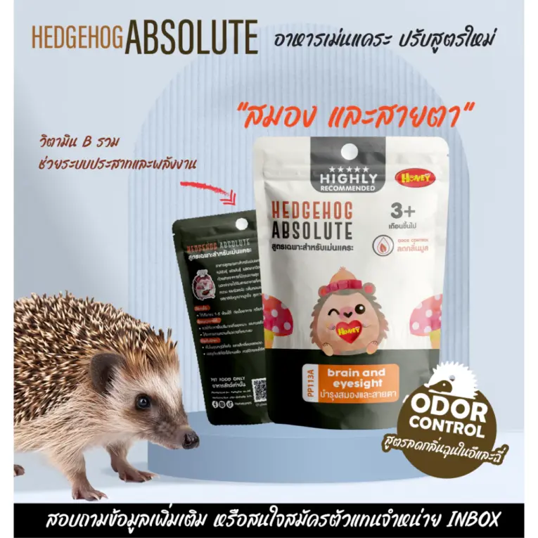HONEY PETZ Hedgehog Absolute pp113a